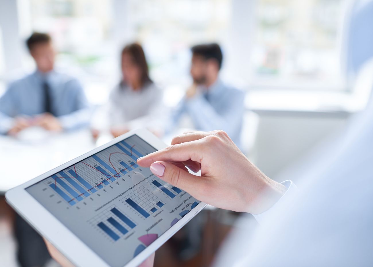 Finance and Forecasts - Our services for raising finance and forecasts