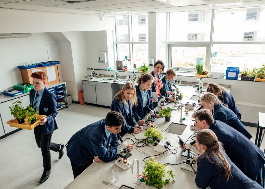 Monthly management accounts for academies