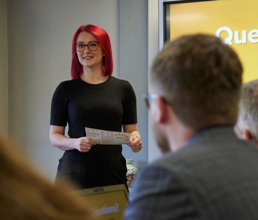 DJH Business Advisers - Internal scrutiny reviews